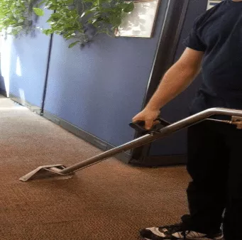 carpet cleaning framingham ma